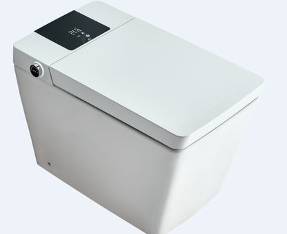 Dowler Tankless Smart One-Piece Floor Mounted Automatic Self Clean Toilet ST2404
